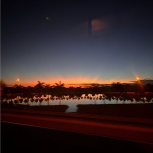 Meet your Posher, Gracie